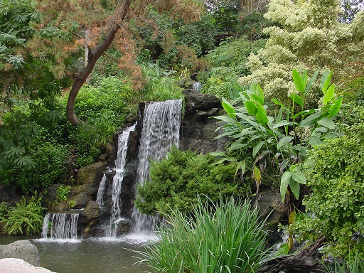 LosAngeles County Arboretum